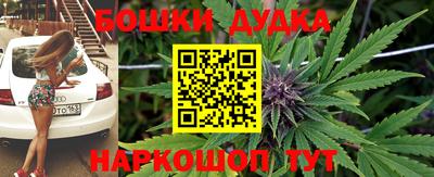 гидропоника Кулебаки